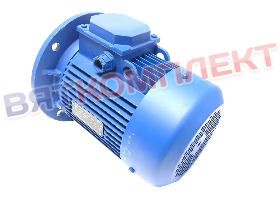 Двигатель для мясорубки МИМ-600 АИР90 L4 (АИР90Л4) Торгмаш г. Баранович