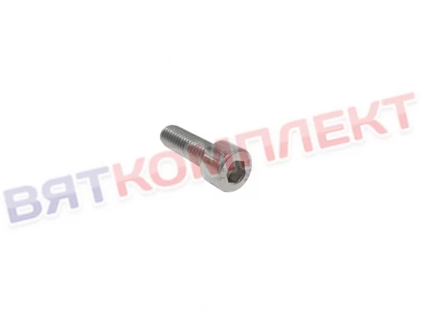 Винт М 8х25 А2 DIN 912 с внутр. шестигр. нерж. для посудомоечной машины МПТ Abat 12000070060