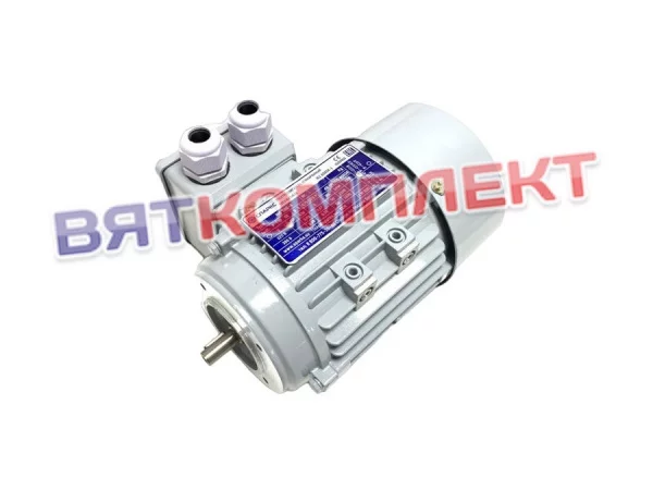 Электродвигатель MS 5624-0,09/1500 B14 для оборудования "ВОСХОД" МУССОН-РОТОР модель 33 2017 г