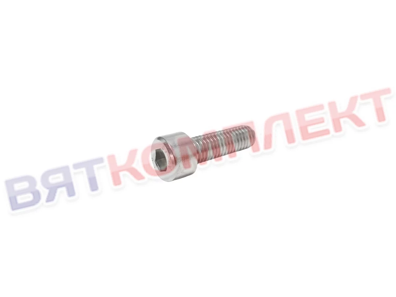 Винт М 8х25 А2 DIN 912 с внутр. шестигр. нерж. для посудомоечной машины МПТ Abat 12000070060