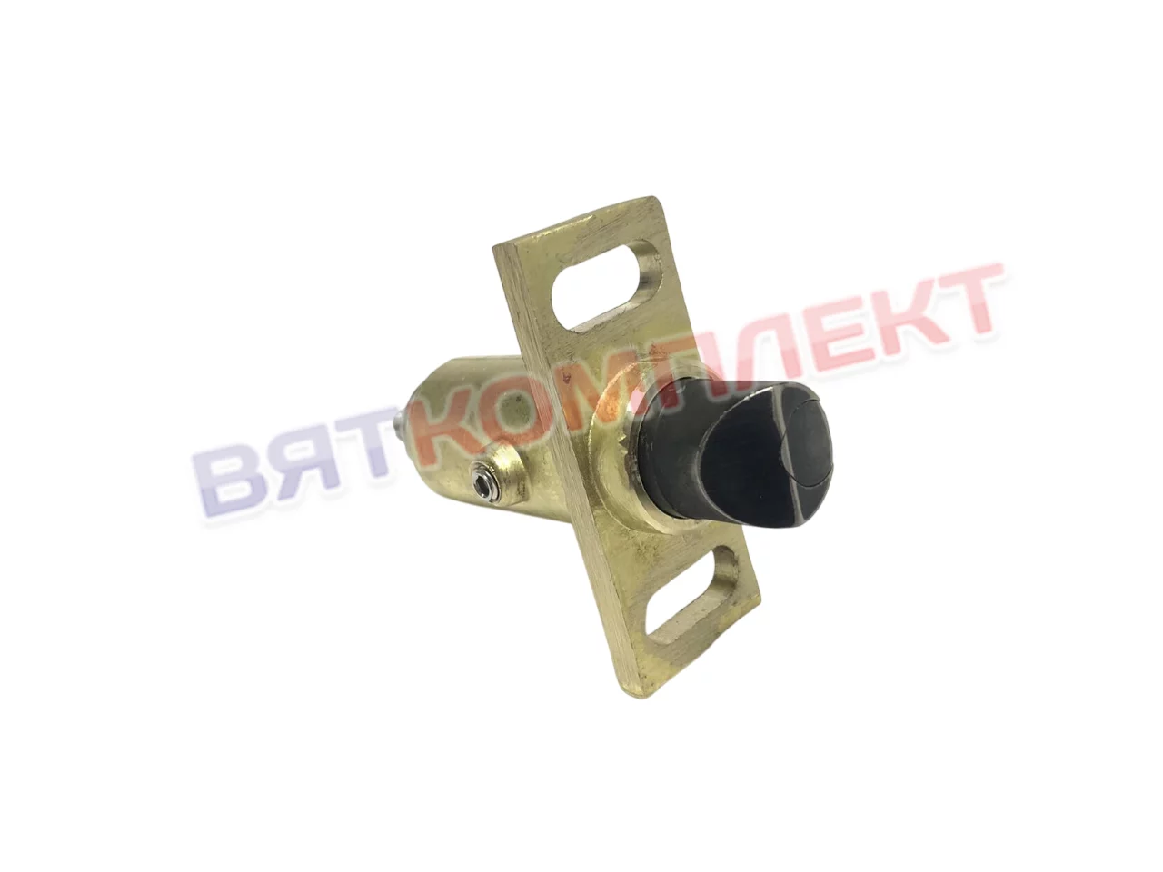 Защелка двери для пароконвектомата SCC_WE CM_P 201/202 LM1 LM2 F G Rational 24.01.351P