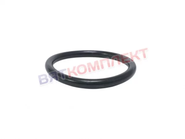 Кольцо сливного крана котла КПЭМ 2 дюйма (сальник-прокладка 2'') ABAT (Сальник 2" 00303000030)