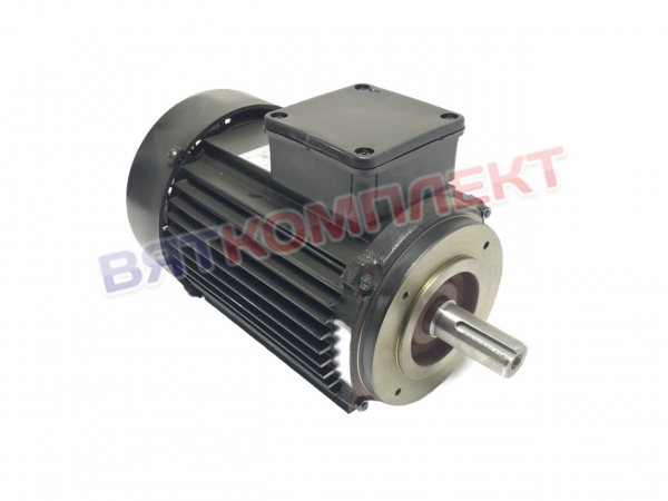 dvigatel 12000061017  (1)