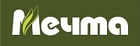 МЕЧТА МЕЧТА