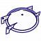 Крышки